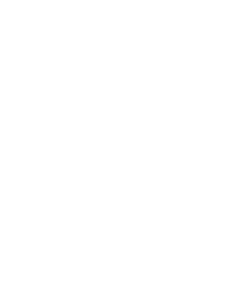 parrotto web solution logo