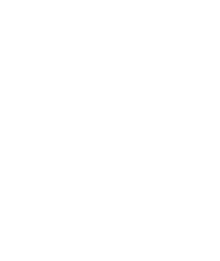 parrotto web solution logo
